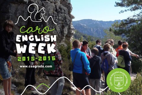 caro-ew-featured-img