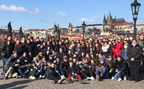 WhatsApp Image 2018-03-08 at 15.48.14