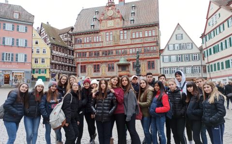 1ba3db62-90c8-49f2-9f88-659c50dc7275