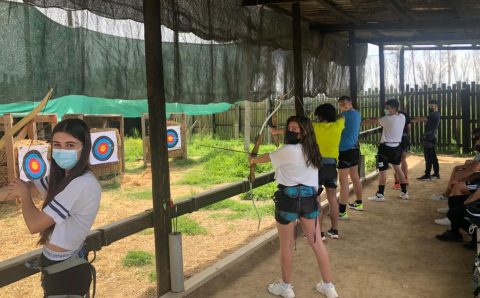 abf259a8-cb78-4d98-ae67-bd425793aaae