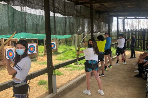 abf259a8-cb78-4d98-ae67-bd425793aaae