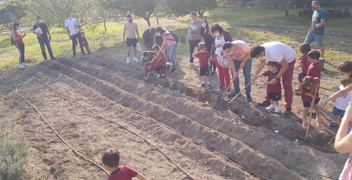 00eeb1e3-2cb7-452a-be0f-2fb433b25f45