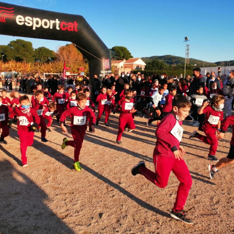 335a6adb-ea42-4381-b270-16f39cd669fe