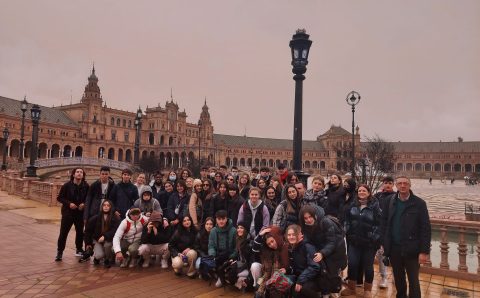 238eedf3-220a-46b9-813d-06dd2dc2409a