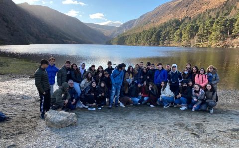 5905e2f0-ea91-4742-b155-28f77d99b6f2