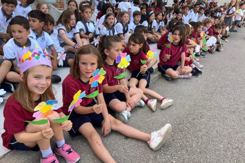 0b52cc09-efdf-4878-947b-022a04acde06