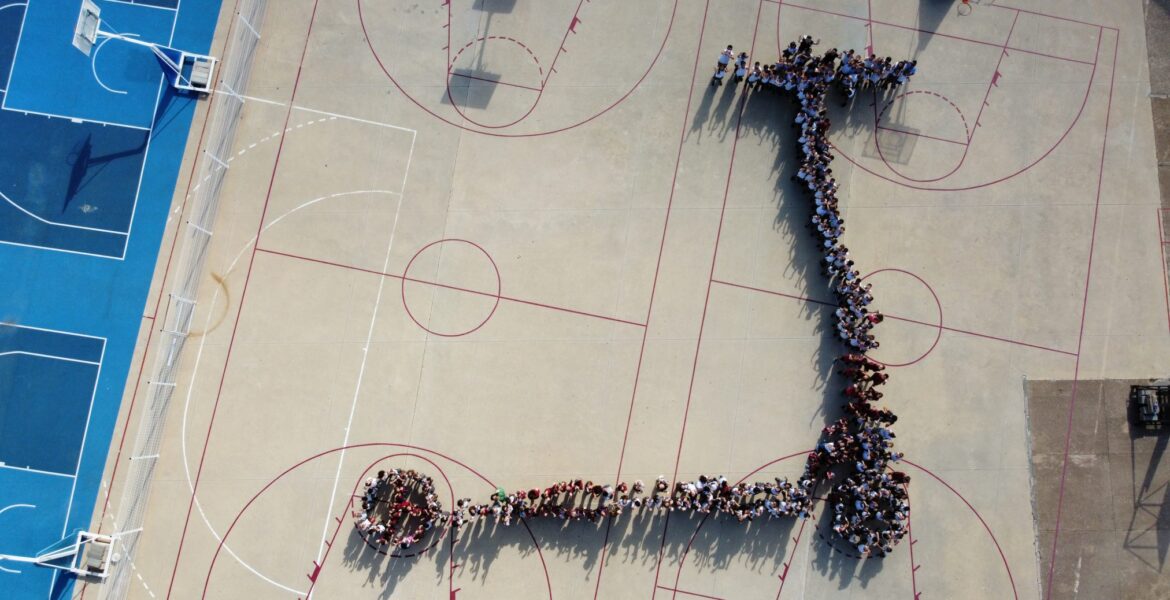 6C39C4D3-0C10-4C9D-A0EC-1D928ECF48D5 (2)