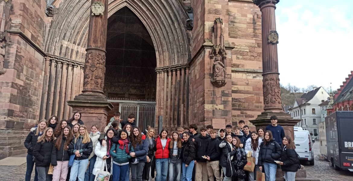 Imatge de WhatsApp 2024-03-05 a les 16.29.00_2cacbcc1