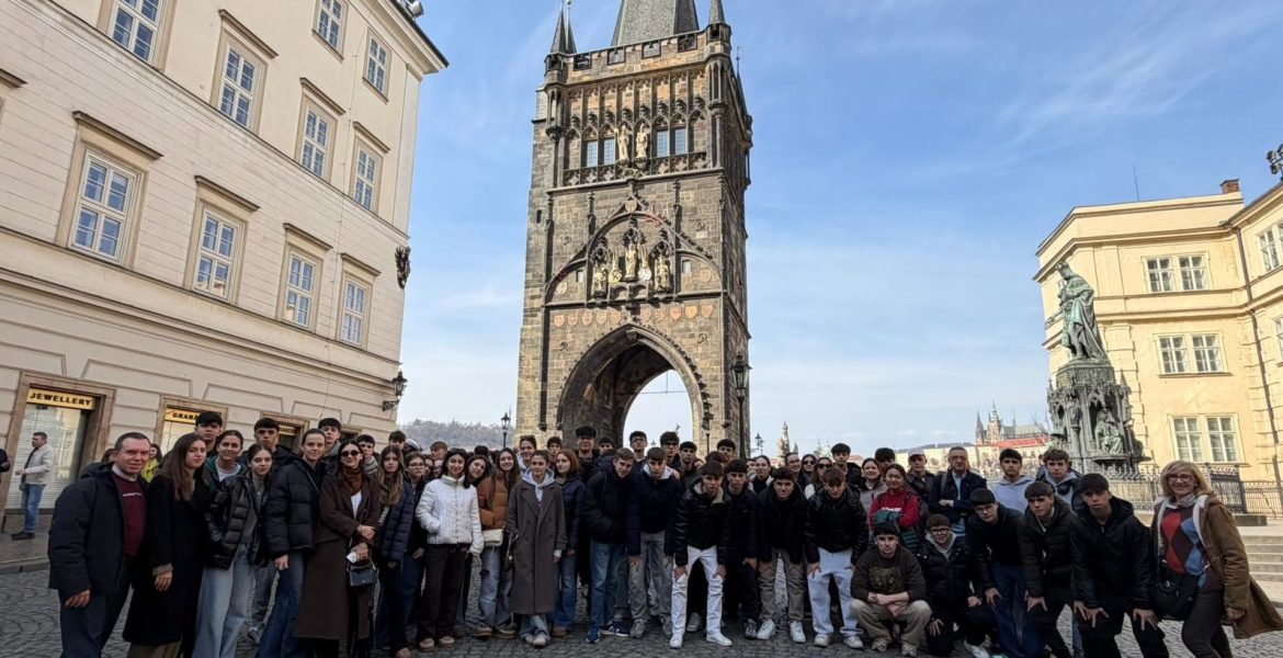 WhatsApp Image 2026-03-20 at 08.46.16